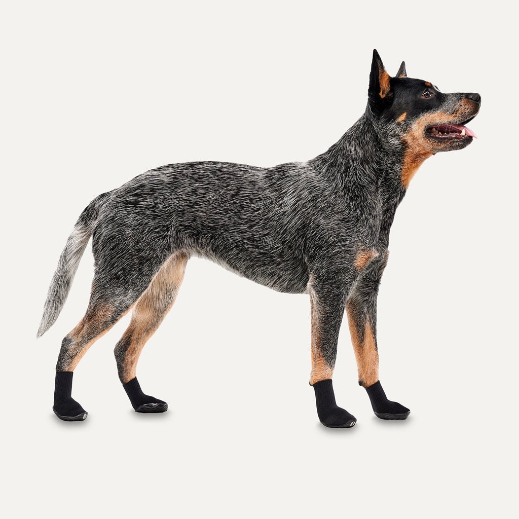 Goo - eez Dog Boots Lites 4 Per Pack XS Zwart - all for animals