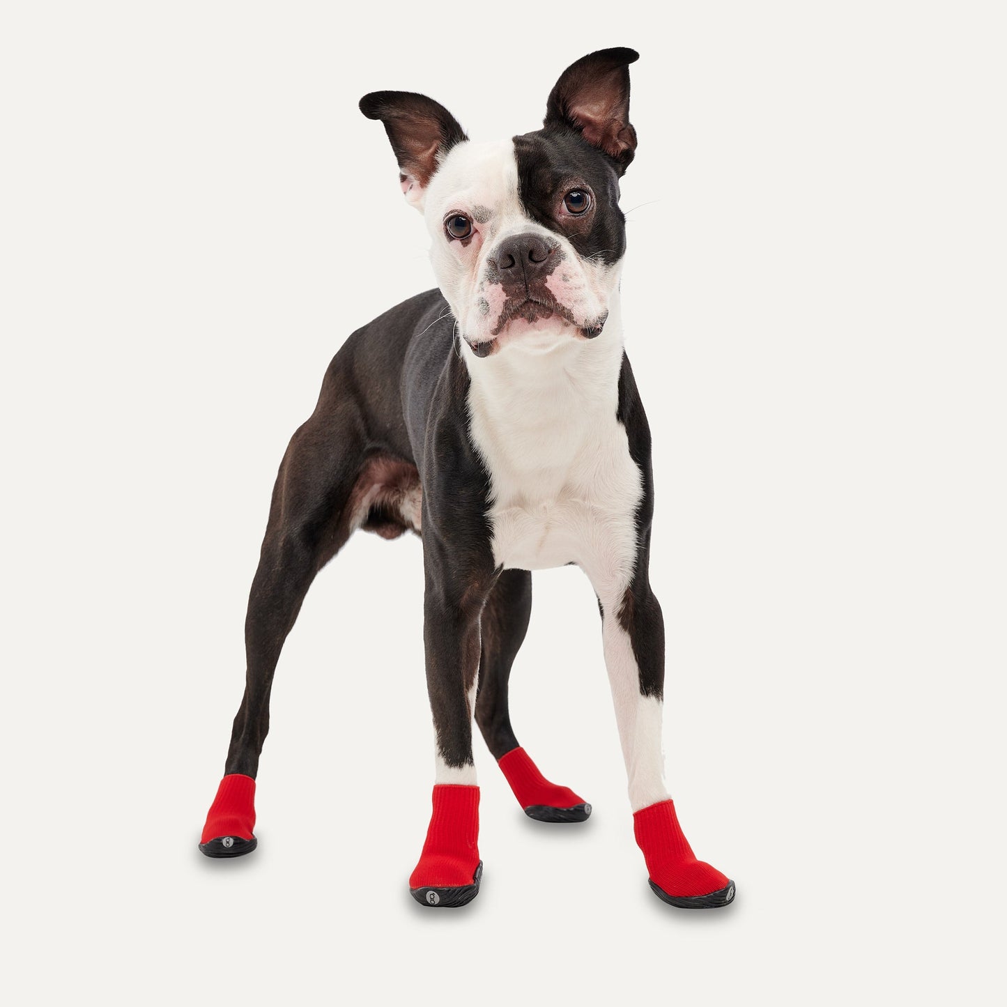Goo - eez Dog Boots Ultras 2 Per Pack L Rood/Zwart - all for animals