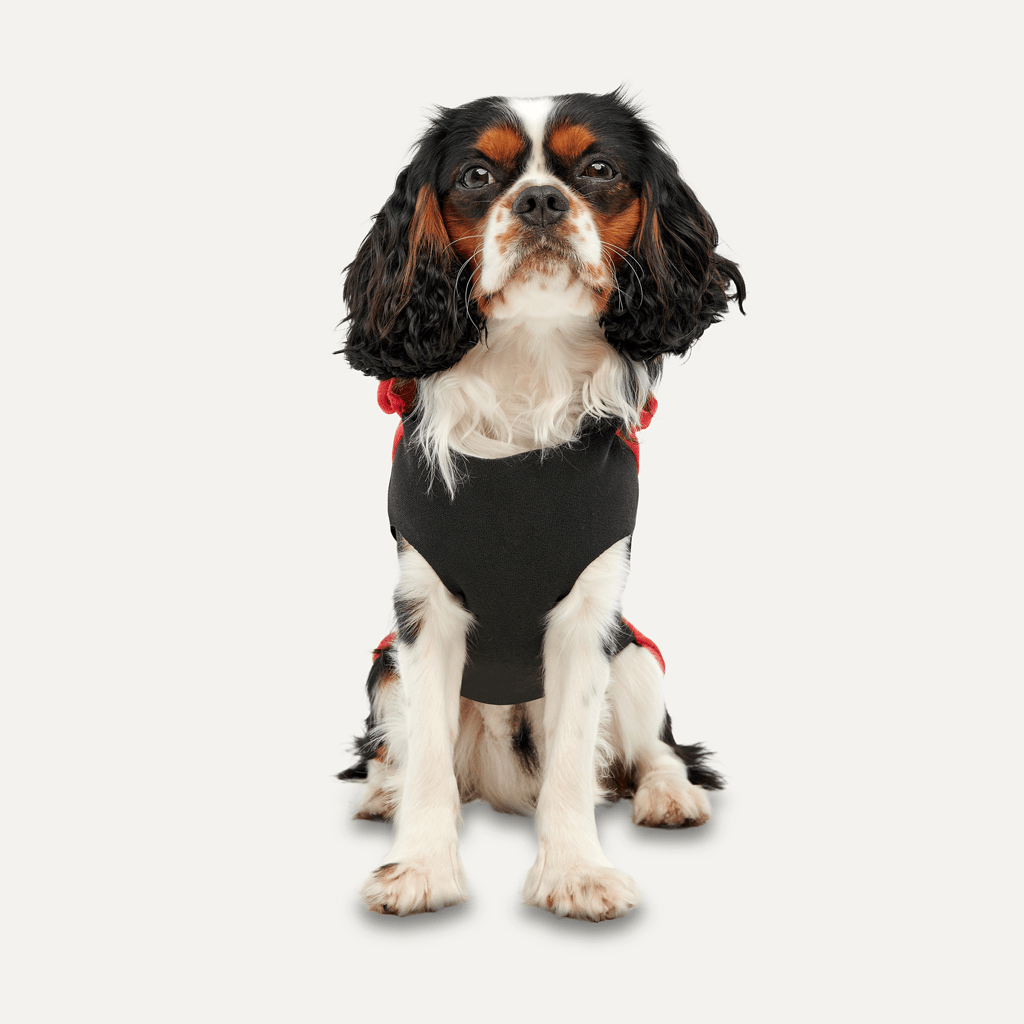 Goo - eez Kangaroo Fleece Hoodie S Rood/Zwart - all for animals