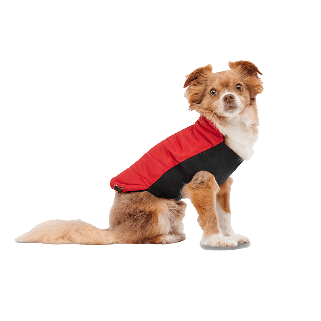Goo - eez Mock Neck Signature Wrap Jacket L Rood/Zwart - all for animals