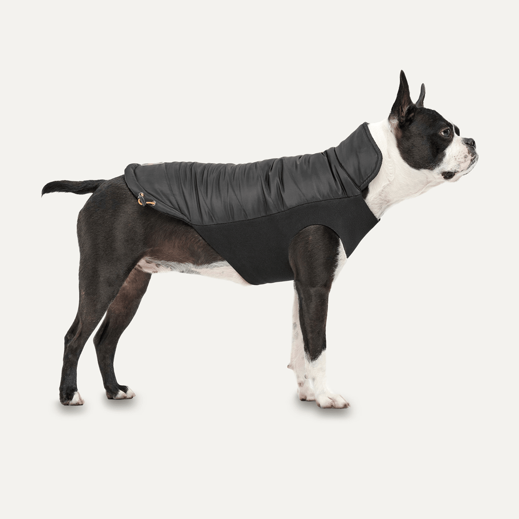 Goo - eez Mock Neck Signature Wrap Jacket L Zwart - all for animals