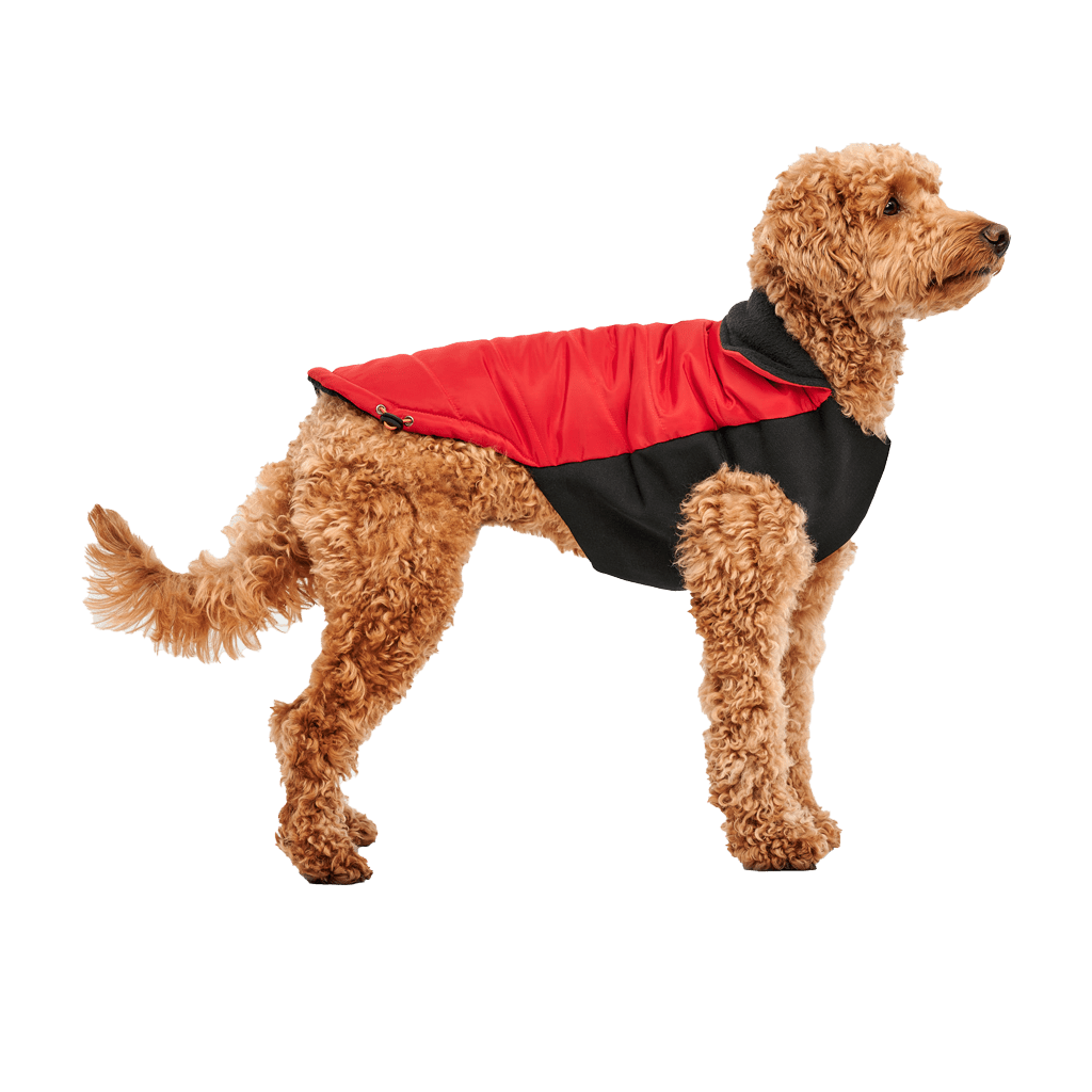 Goo - eez Mock Neck Signature Wrap Jacket M Rood/Zwart - all for animals
