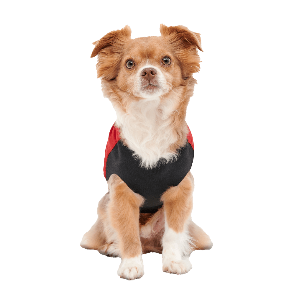 Goo - eez Mock Neck Signature Wrap Jacket S Rood/Zwart - all for animals