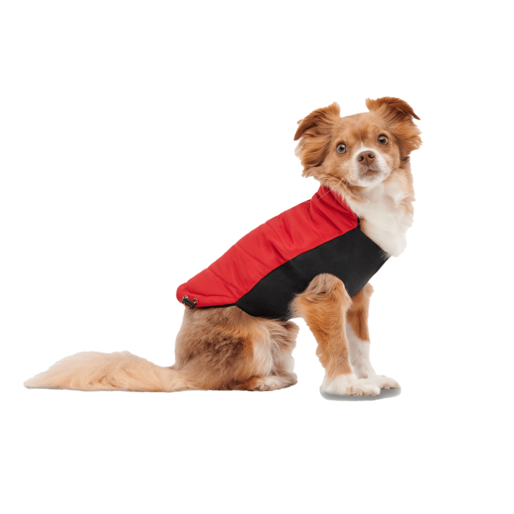 Goo - eez Mock Neck Signature Wrap Jacket XXS Rood/Zwart - all for animals