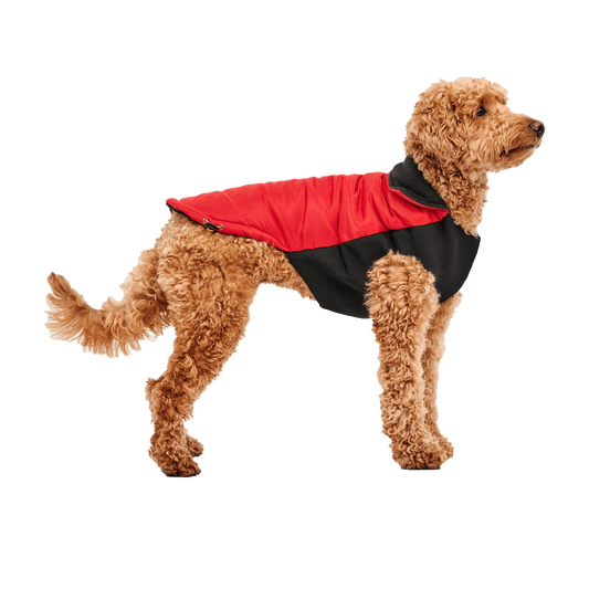 Goo - eez Mock Neck Signature Wrap Jacket XXS Rood/Zwart - all for animals