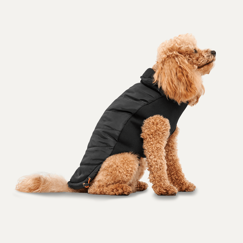 Goo - eez Mock Neck Signature Wrap Jacket XXS Zwart - all for animals