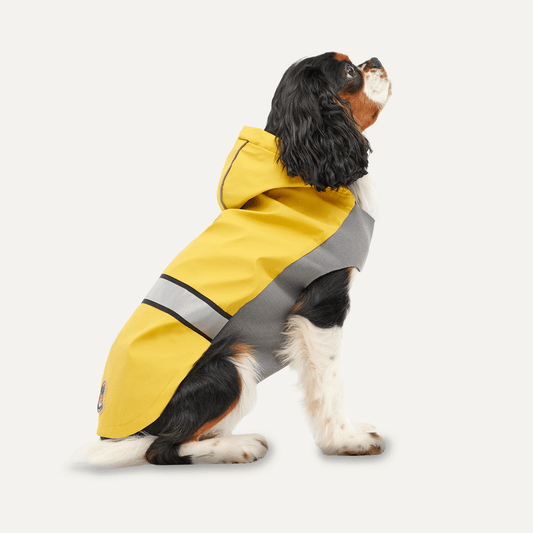 Goo - eez Reflective Hooded Raincoat M Geel/Grijs - all for animals