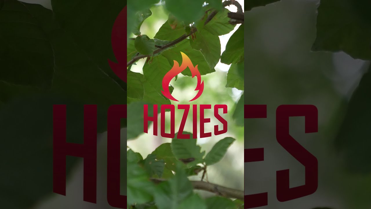 Hozies Nelly Niles - all for animals