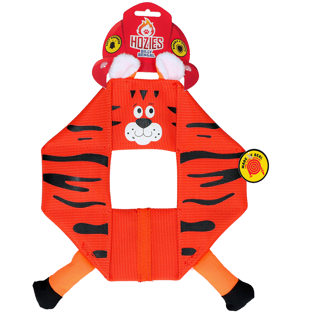 Hozies Octagon Billy Bengal - all for animals