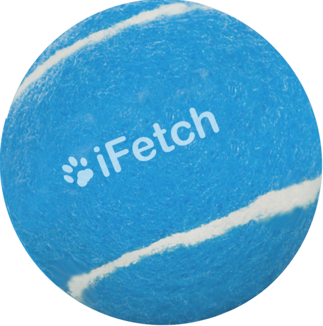 iFetch Too Balls - all for animals