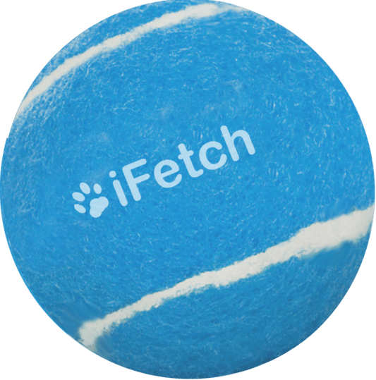 iFetch Too Balls - all for animals