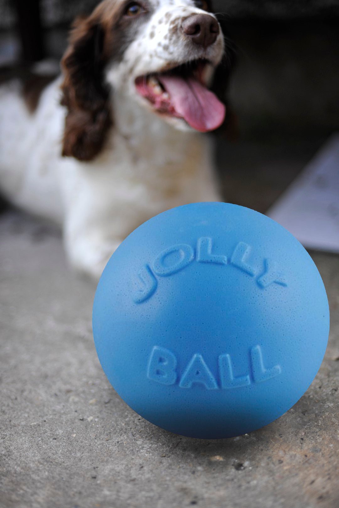 Jolly Bounce - n Play Bosbessen L (20 cm) - all for animals