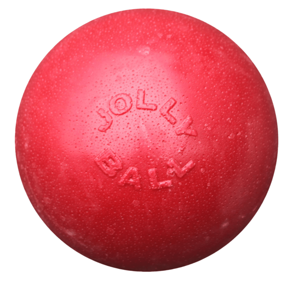 Jolly Bounce - n Play Rood L (20 cm) - all for animals