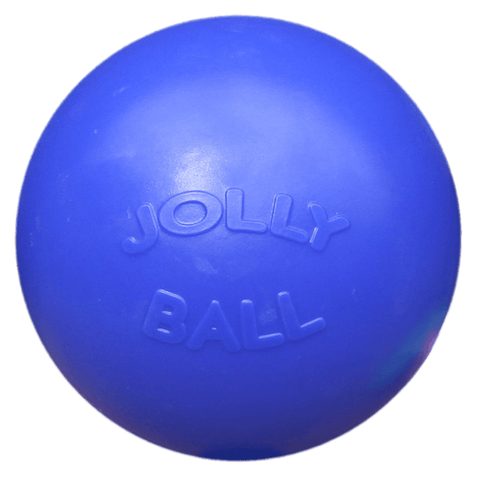 Jolly Push - n - Play Blauw L (25 cm) - all for animals