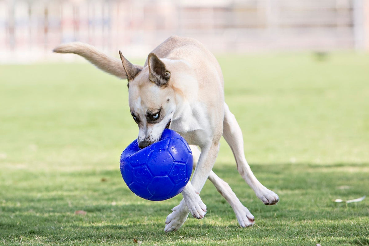 Jolly Soccer Ball Lichtblauw S (15 cm) - all for animals