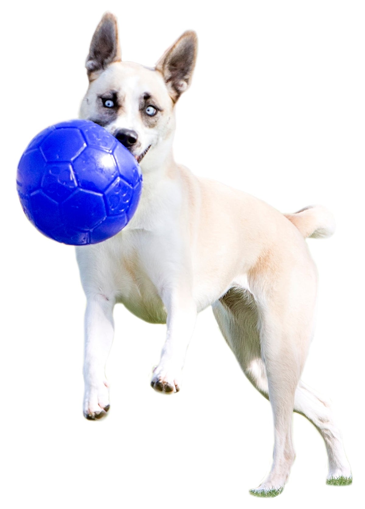 Jolly Soccer Ball Lichtblauw S (15 cm) - all for animals