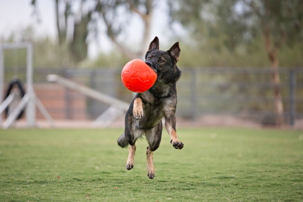 Jolly Soccer Ball Oranje S (15 cm) - all for animals