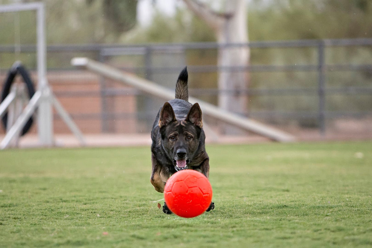 Jolly Soccer Ball Oranje S (15 cm) - all for animals