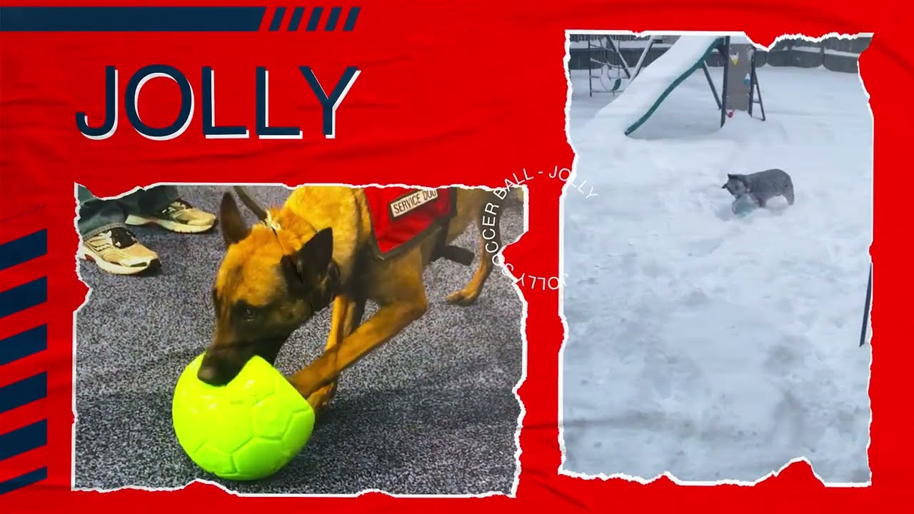 Jolly Soccer Ball Roze S (15 cm) - all for animals