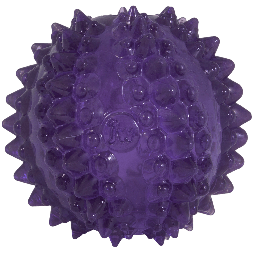JW Puppy - Bristl - ee Cactus Ball - all for animals