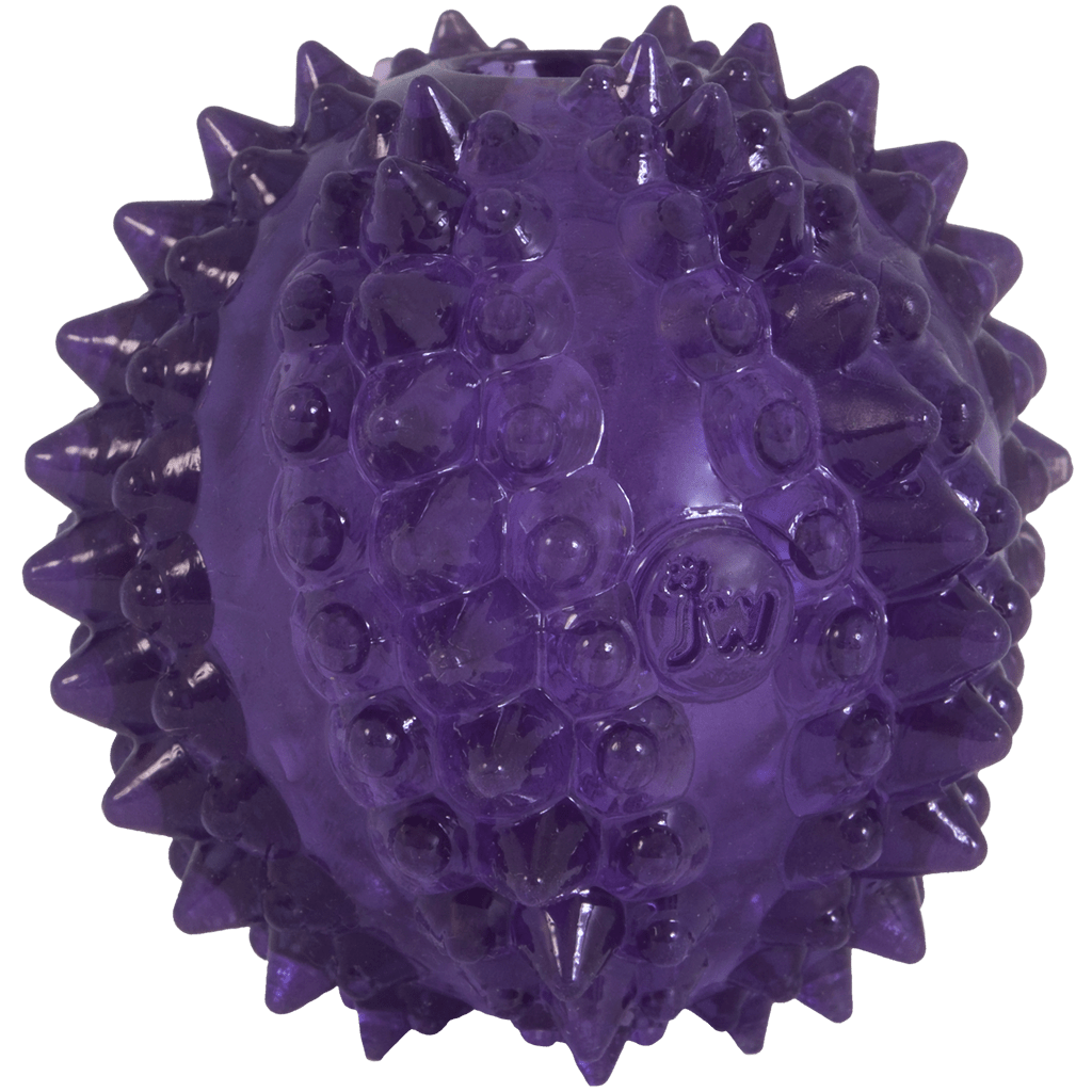 JW Puppy - Bristl - ee Cactus Ball - all for animals