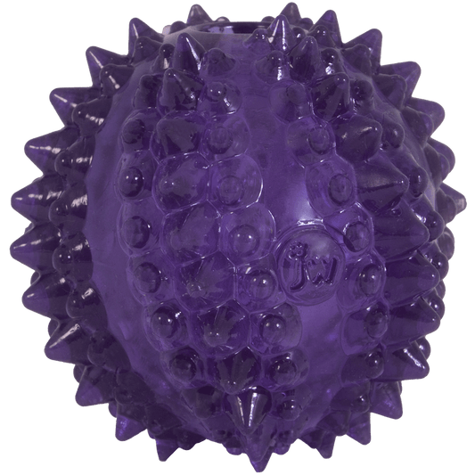JW Puppy - Bristl - ee Cactus Ball - all for animals