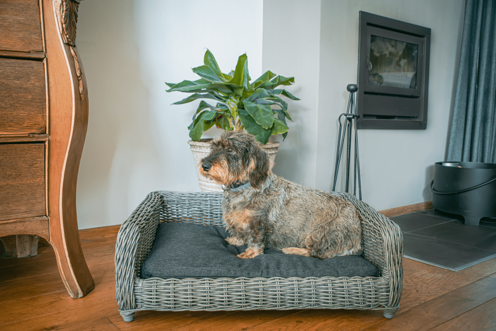 Let's Sleep Cozy Basket Rieten Hondenmand M Antraciet - all for animals