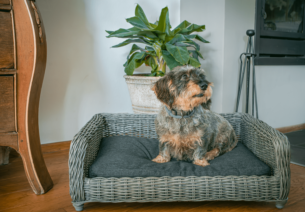 Let's Sleep Cozy Basket Rieten Hondenmand M Antraciet - all for animals
