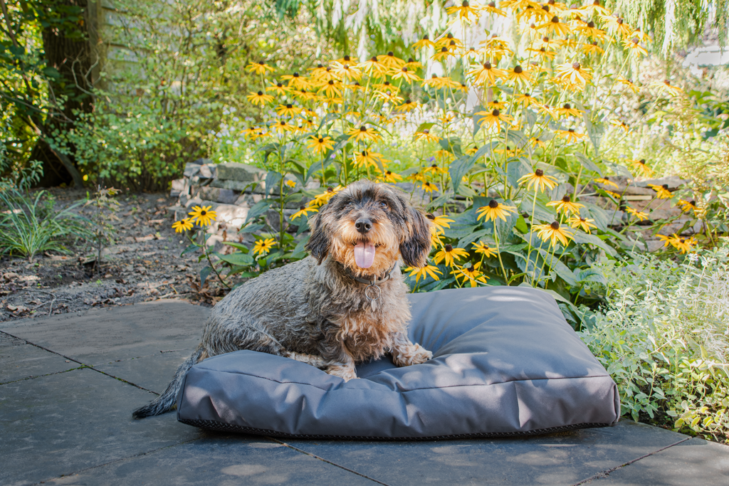 Let's Sleep Cushy Cloud Hondenkussen Buiten XL Antraciet - all for animals