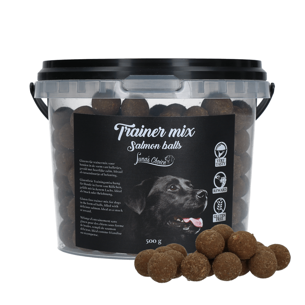 Luna's Choice Trainer Mix Zalm Balletjes (glutenvrij) - all for animals