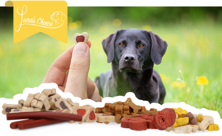 Luna's Choice Trainer Mix Zalmstaafjes - all for animals