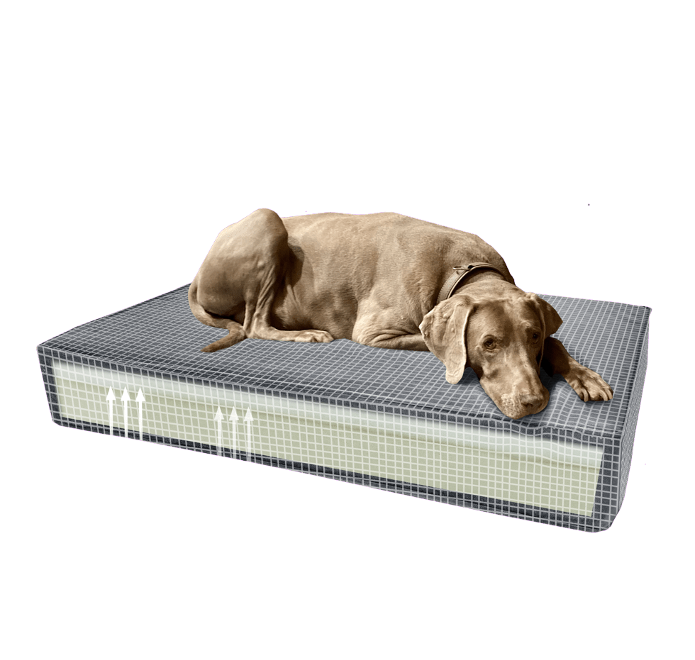 Madison Orthopedisch Kussen Velvet Oranje S - all for animals
