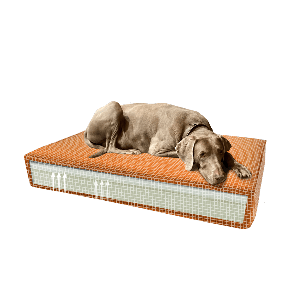 Madison Orthopedisch Kussen Velvet Oranje S - all for animals