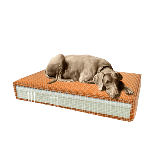 Madison Orthopedisch Kussen Velvet Oranje S - all for animals