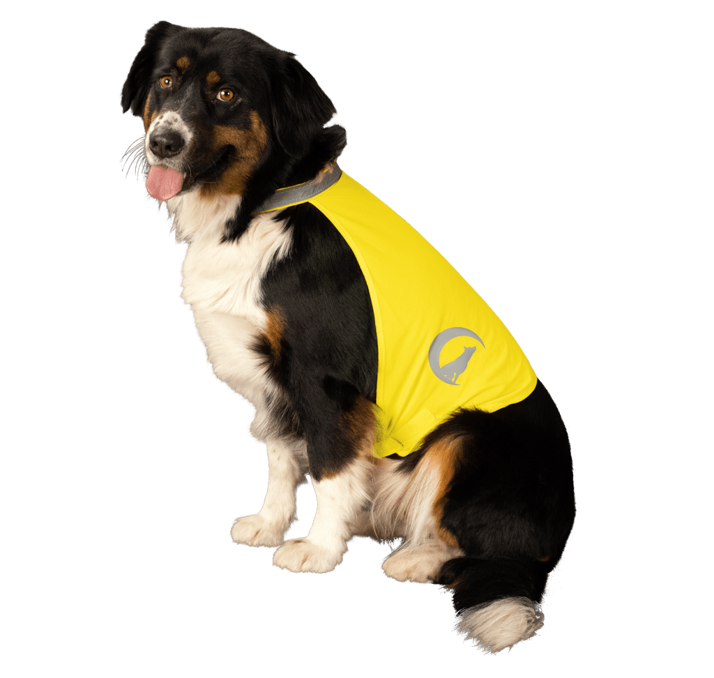 Nightwalk Safety Vest Geel - all for animals