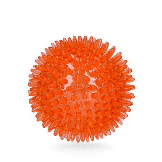 Oranje Egelbal M - All For Animals