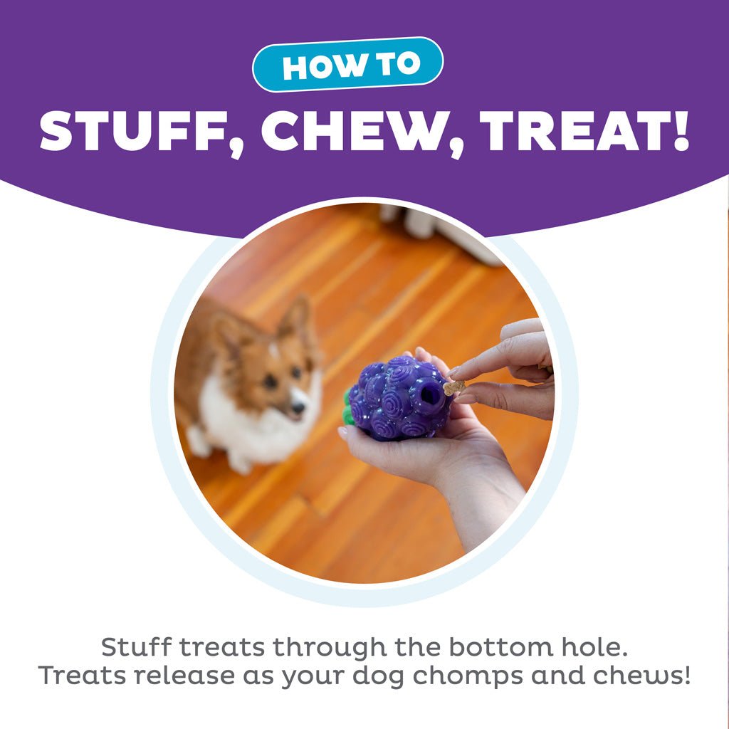 Outward Hound Dental Grapes - all for animals