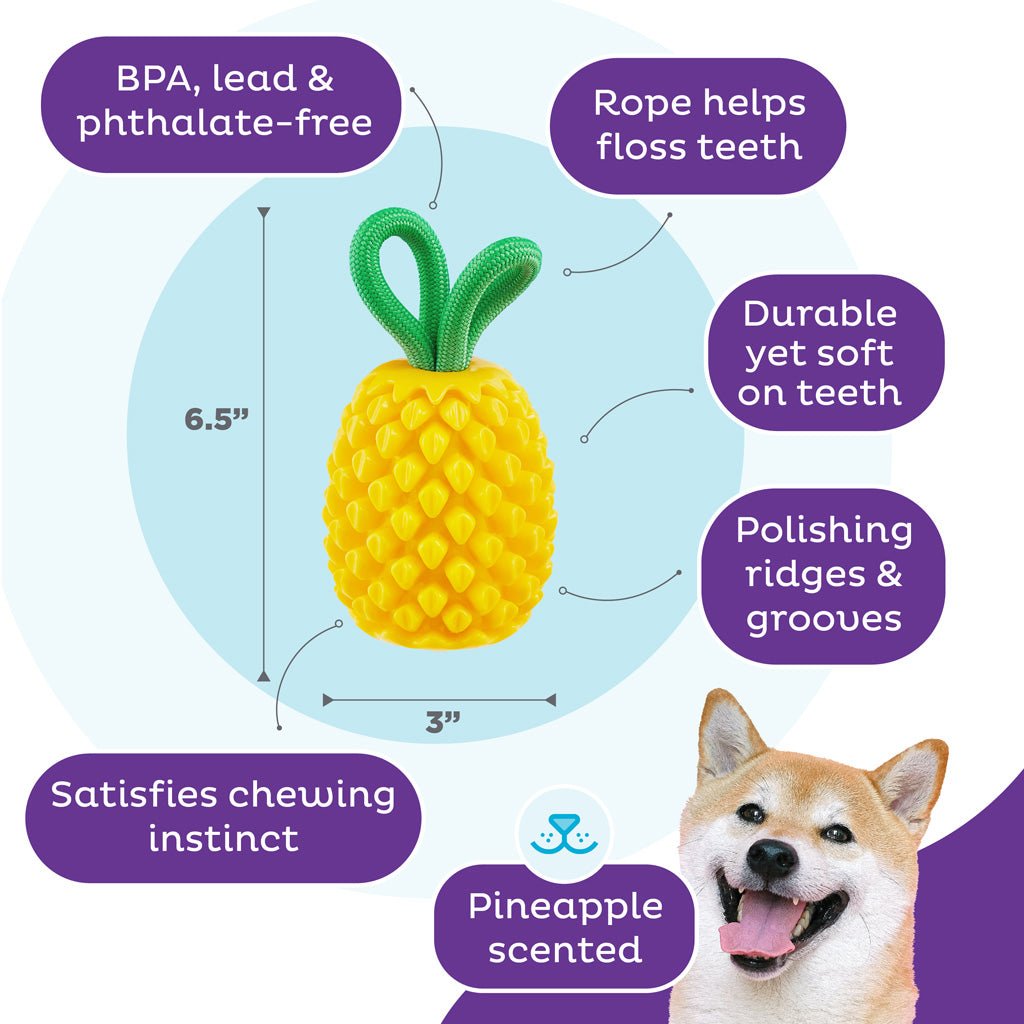Outward Hound Dental Pineapple - all for animals