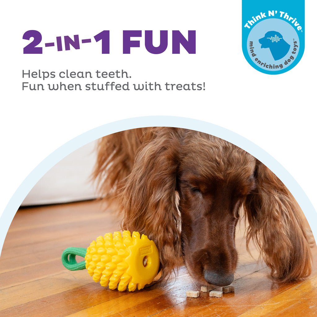Outward Hound Dental Pineapple - all for animals