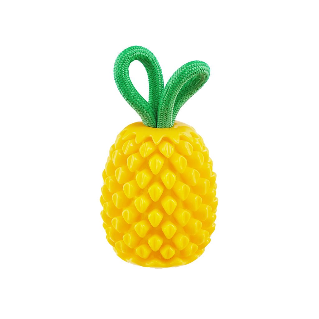Outward Hound Dental Pineapple - all for animals