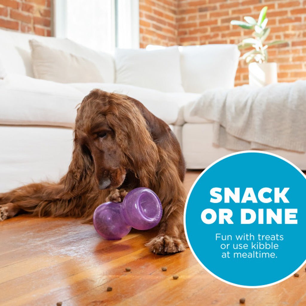 Outward Hound Double Snoop Paars - all for animals