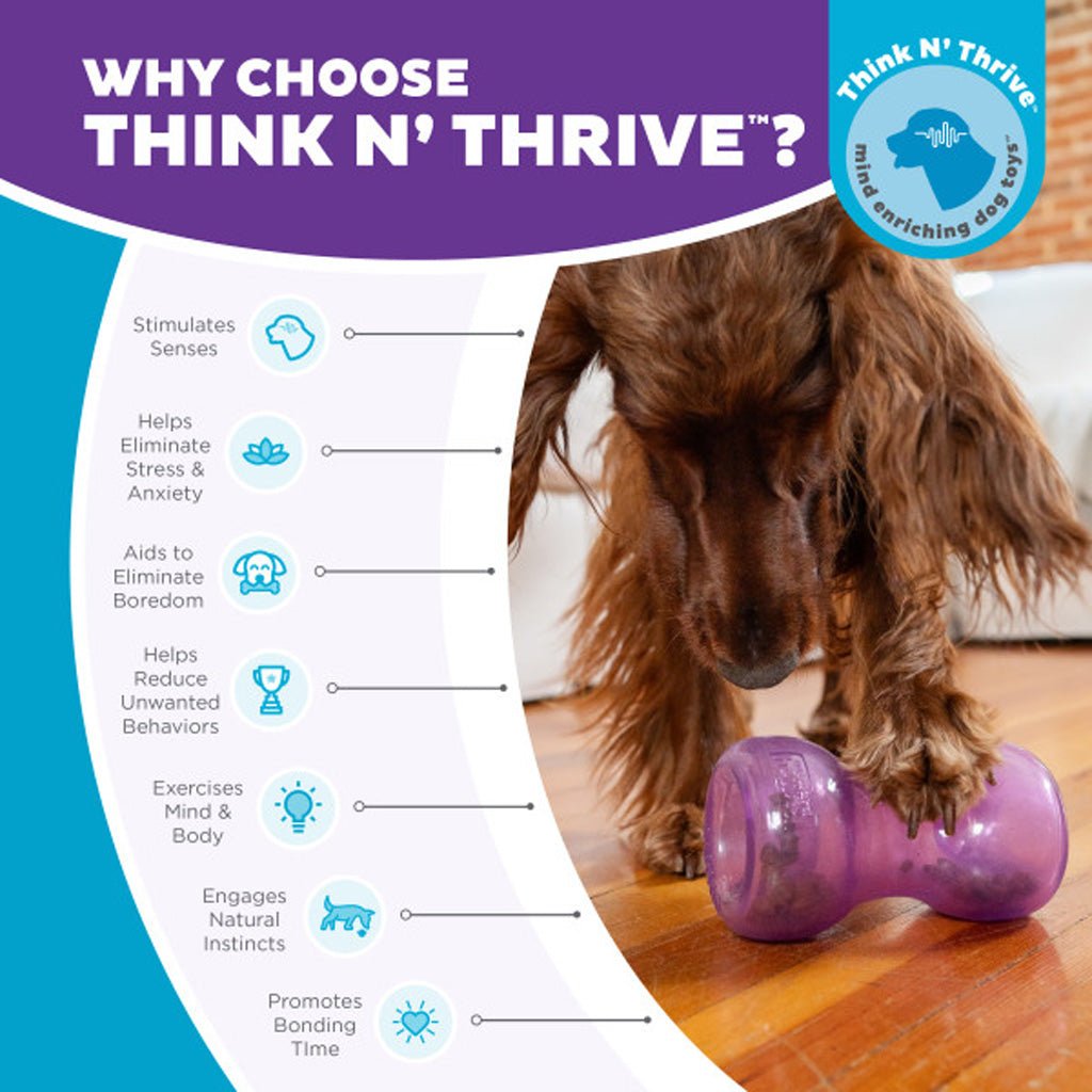 Outward Hound Double Snoop Paars - all for animals