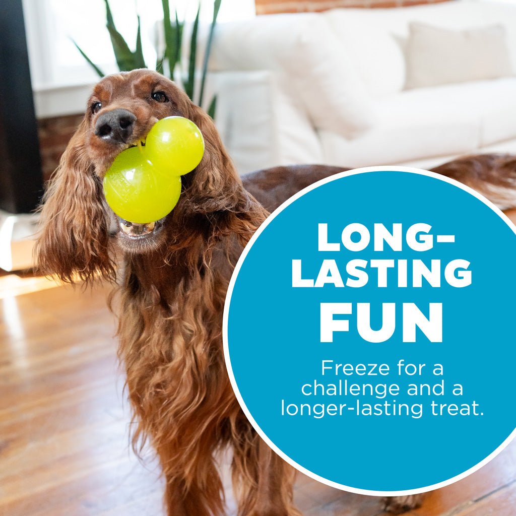 Outward Hound Double - Tuff L Groen - all for animals
