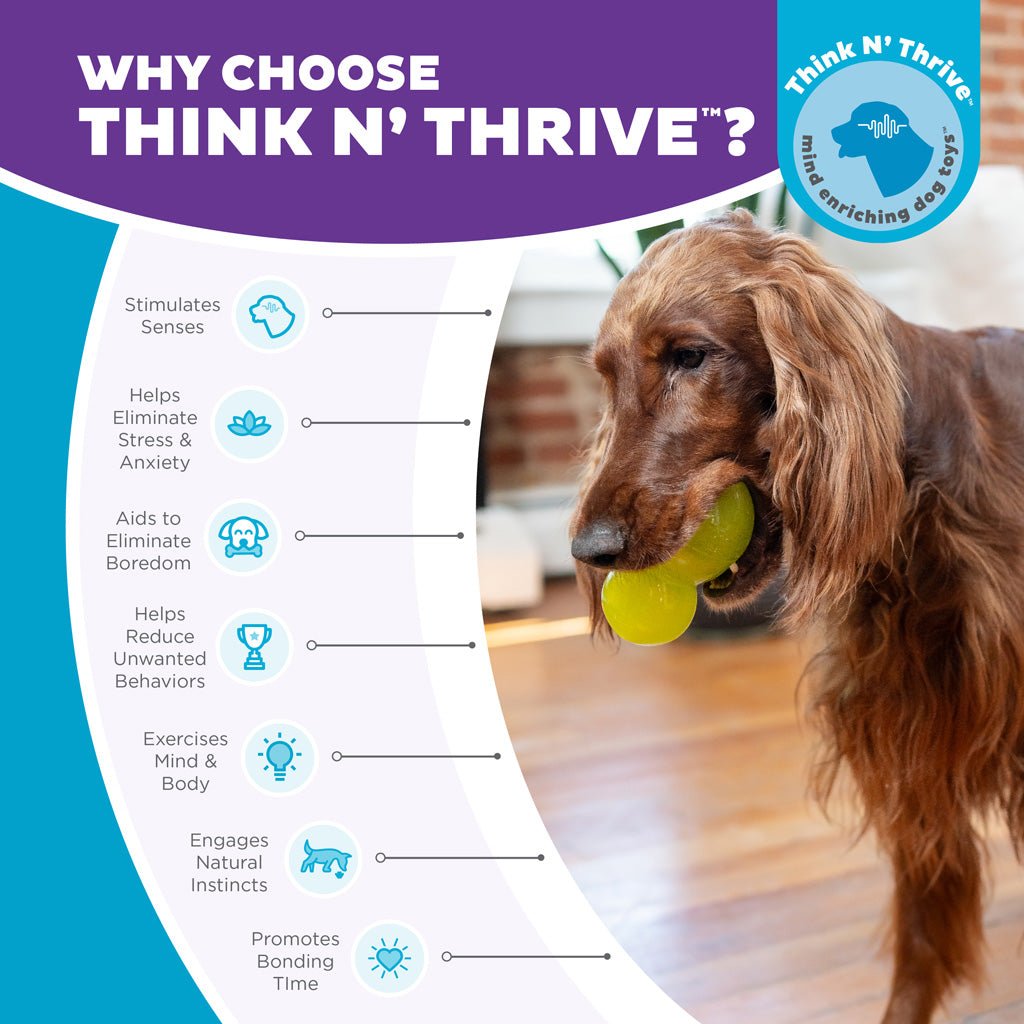 Outward Hound Double - Tuff L Groen - all for animals