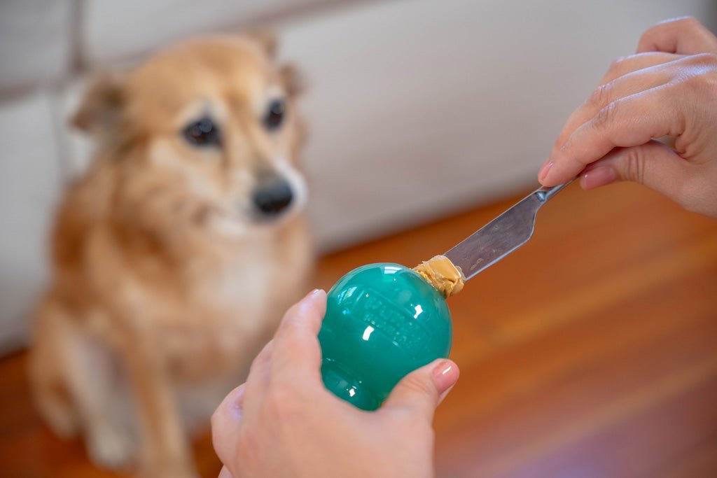 Outward Hound Double - Tuff M Blauw - all for animals