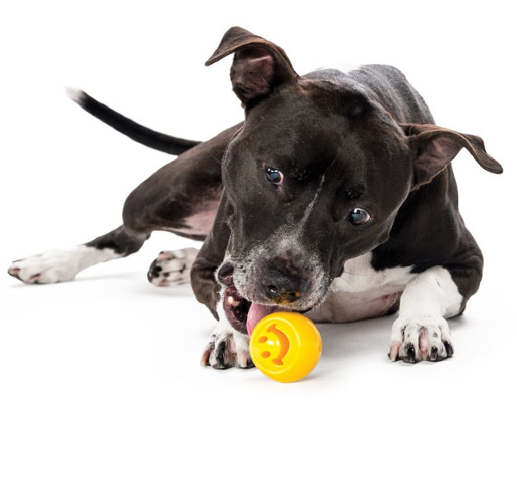 Outward Hound Orbee - Tuff Nooks - all for animals