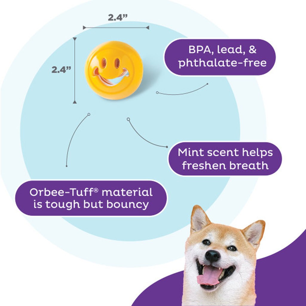 Outward Hound Orbee - Tuff Nooks - all for animals