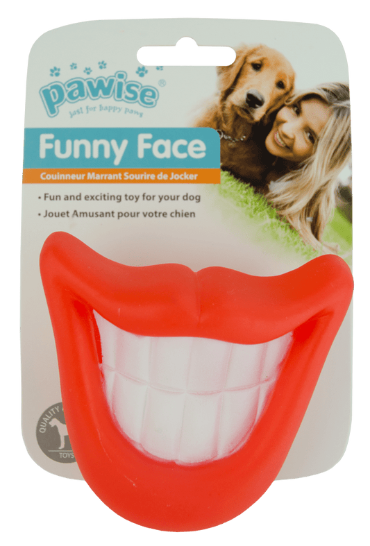 Pawise Funny Face Big Tooth - all for animals