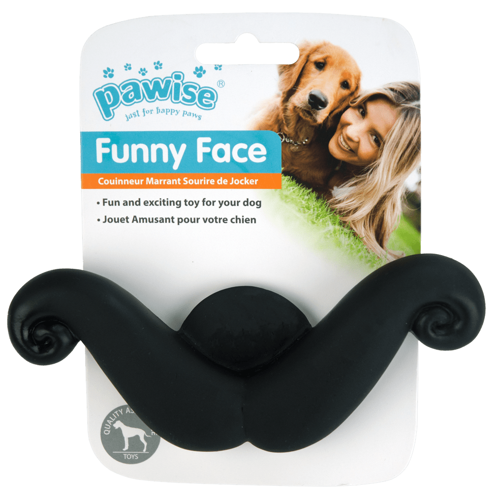 Pawise Funny Face Mustache - all for animals