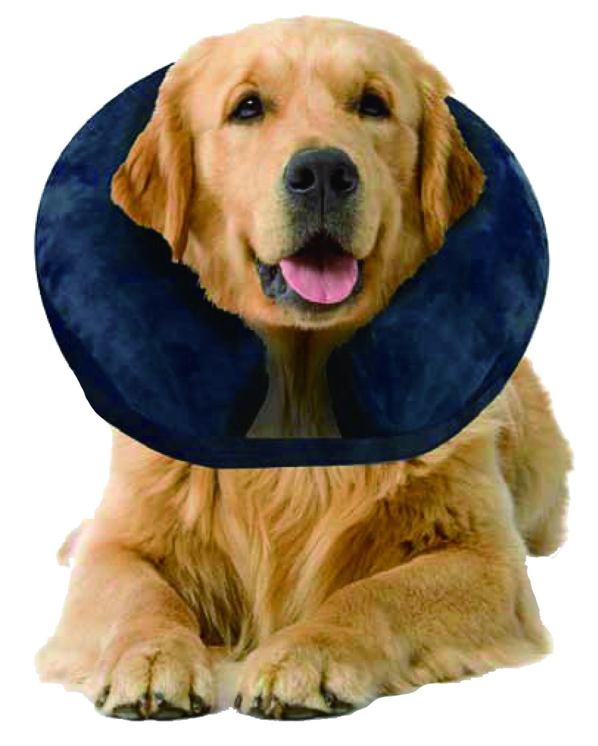 Pawise Inflatable Protective Collar - all for animals